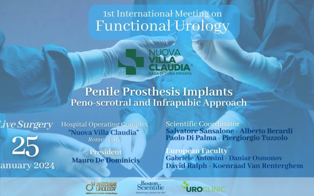 First International Meeting on Penile Prosthesis